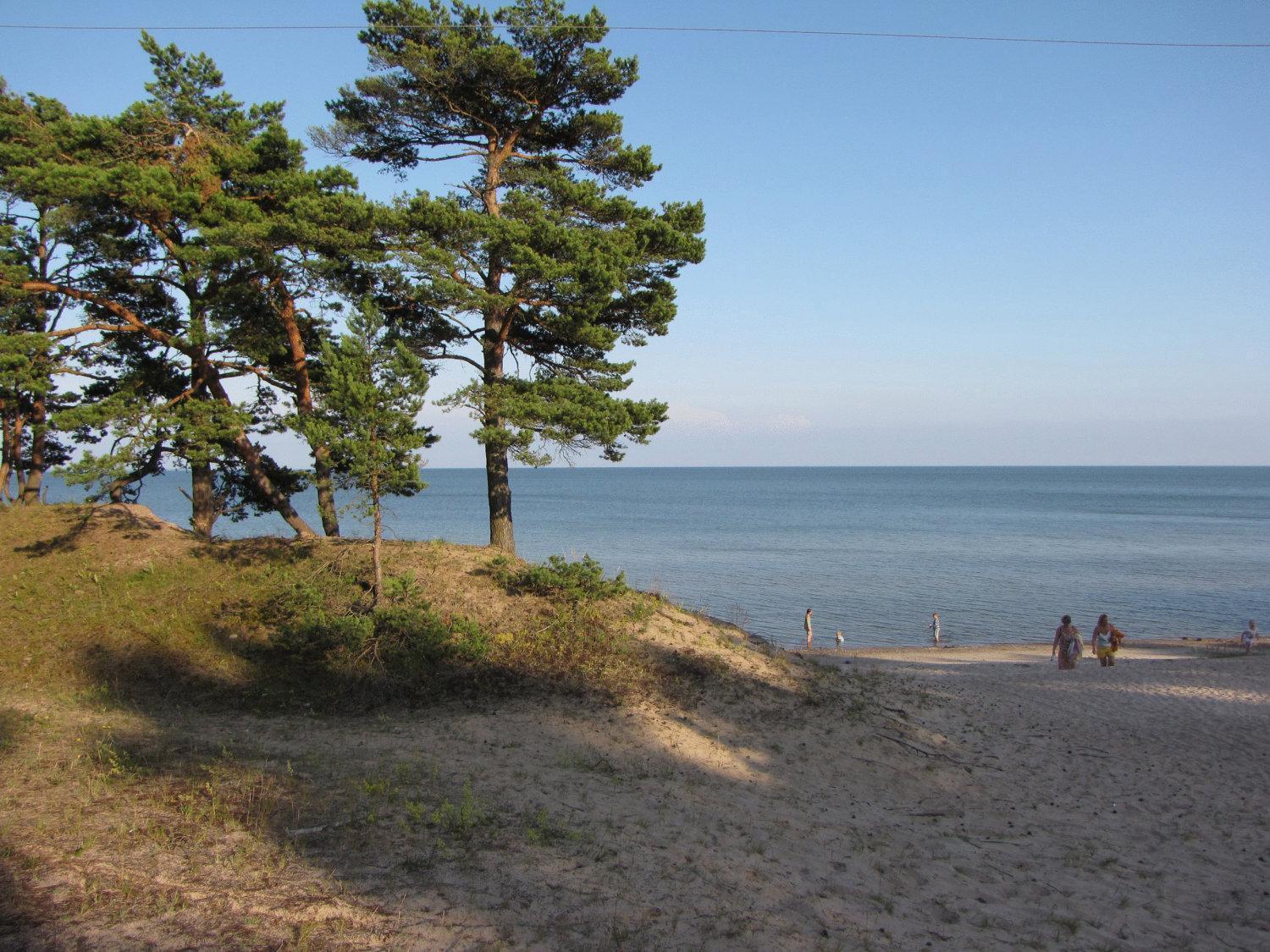 Mandjala Puhketalu - Cottages Екстериор снимка
